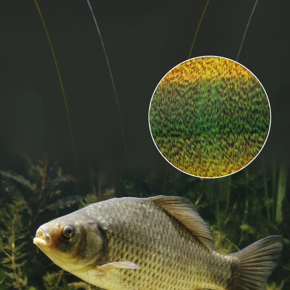 Línea de pesca con revestimiento de fibra de carbono, línea de fluorocarbono 300M/500M 0,14-0,5mm 4,13-34,32LB, accesorios portátiles Japón - imagen 4