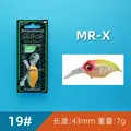 MR-X 19