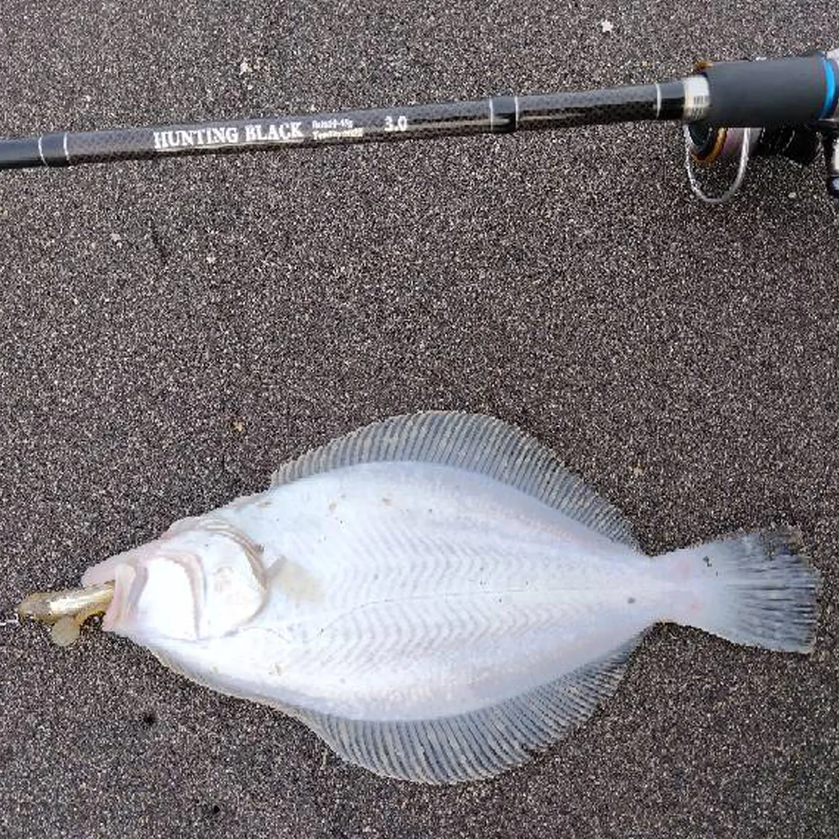 Señuelos de pesca, cebos blandos, 10cm, 5,4g, 12,8 cm, 9,7g, Iscas blandas, cebos artificiales, Leurre Louple para lubina, cebos de pesca - imagen 3