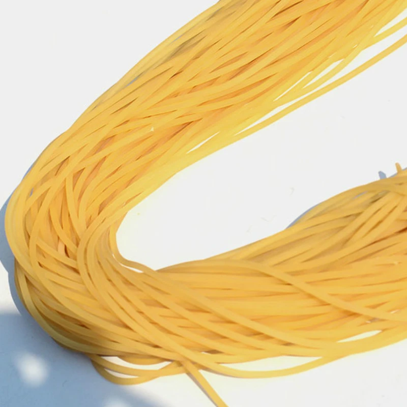 Línea de pesca de goma elástica sólida de 5m, diámetro de 2mm, cuerda de pesca elástica lisa, refuerzo atado, equipo de pesca con flejes - imagen 2