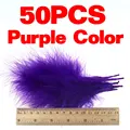 50pcs Purple Color