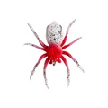 Spider-3G-07