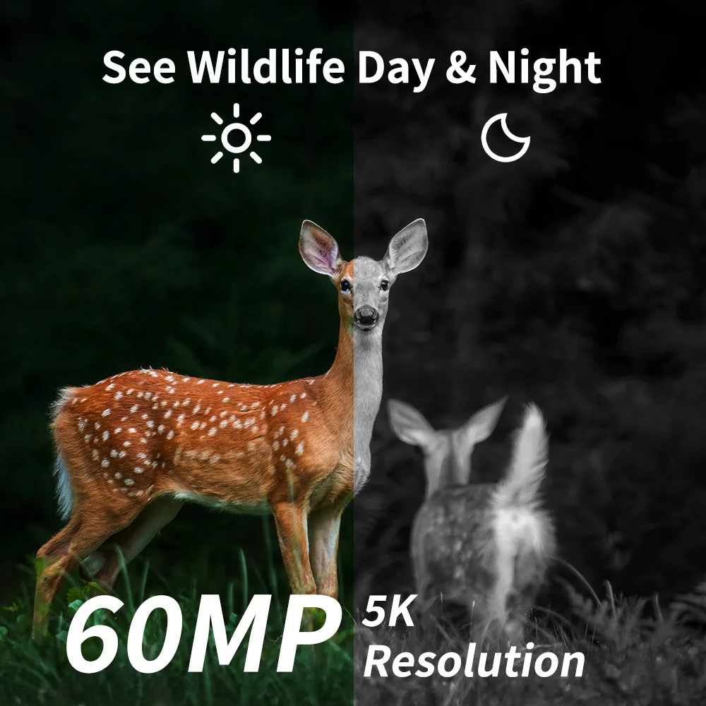 4G-APP Cámara de rastreo alta resolución visión nocturna - imagen 4