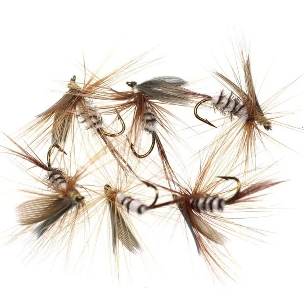 Moscas para trucha estilo ninfa y seca, surtido insectos