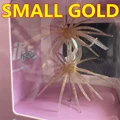 SMALL GOLD 2PCS