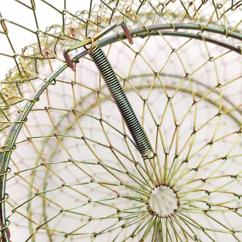 Cesta plegable de alambre para el cuidado de los peces, cesta de camarones, suministros para pesca al aire libre, red de pesca duradera, accesorios de pesca - imagen 3