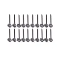 Round ring screw-M