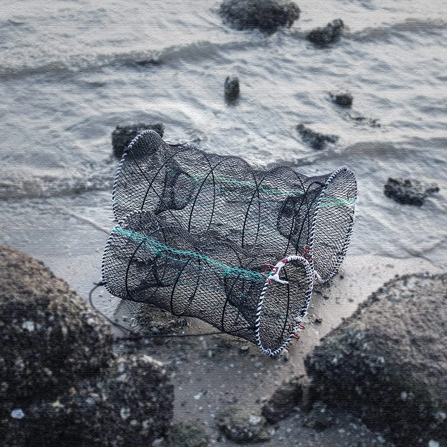 Goture-trampa portátil para cangrejo, red plegable para pesca, pececillo, cangrejo, camarón, langosta, cebo, Red con cuerda de mano de 32 pies - imagen 5