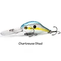Chartreuse Shad