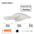 Blank Lure With Eyes