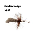 Goddard sedge