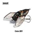 5523-D01