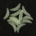 luminous 50pcs