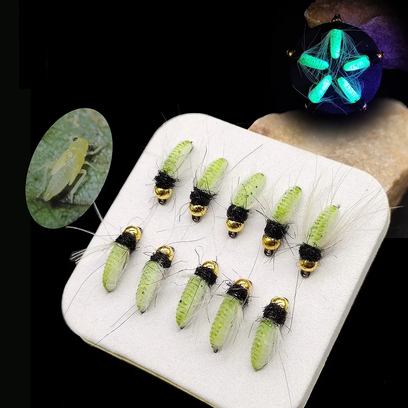 Señuelo luminoso de pesca con mosca, cabeza de cuentas de latón, trucha, lubina, hundimiento rápido, fibra CDC, serpentina de insectos, salmón #10 #12, 10 unids/lote por caja