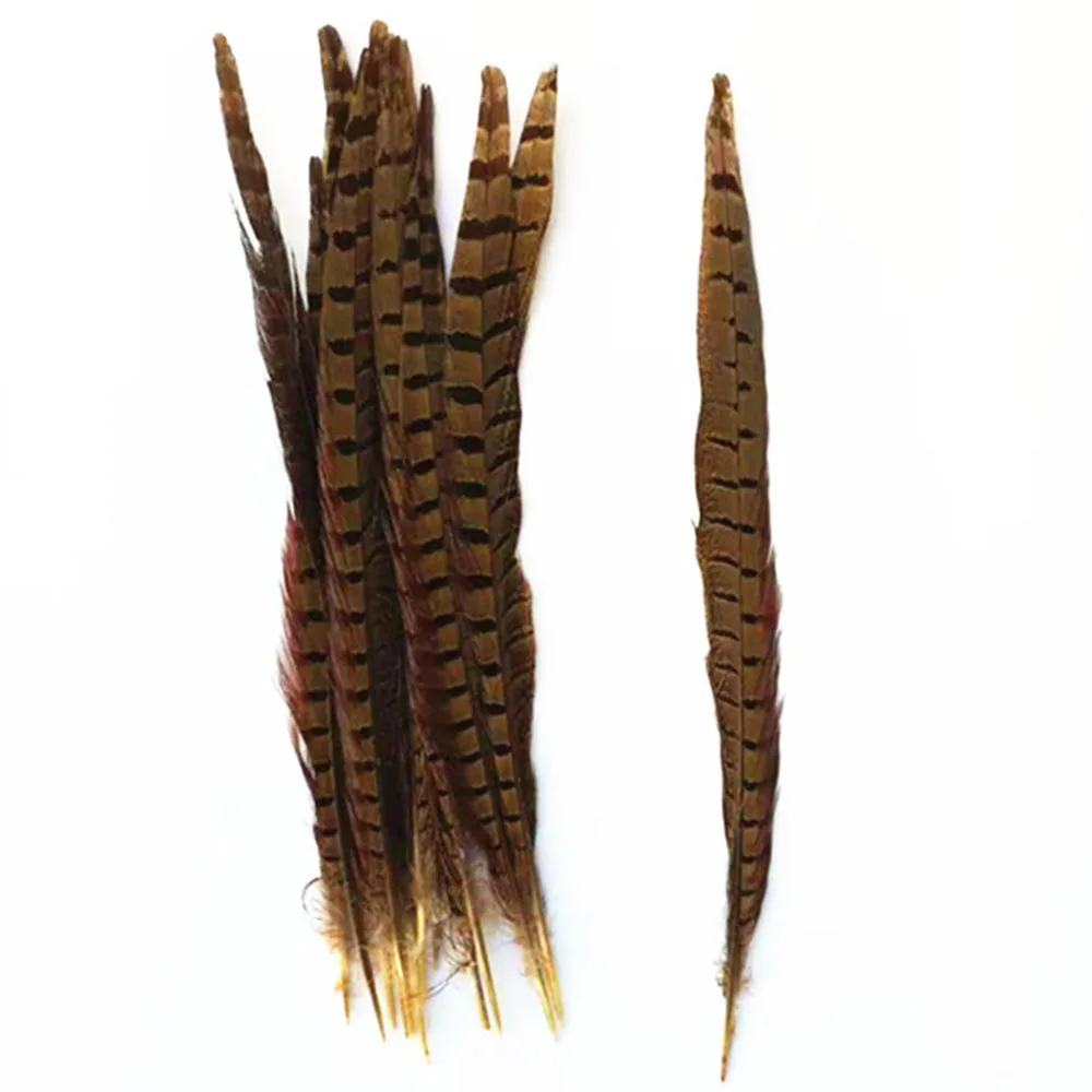 Plumas de faisán naturales MNFT para atado de moscas – 20-25cm - imagen 4