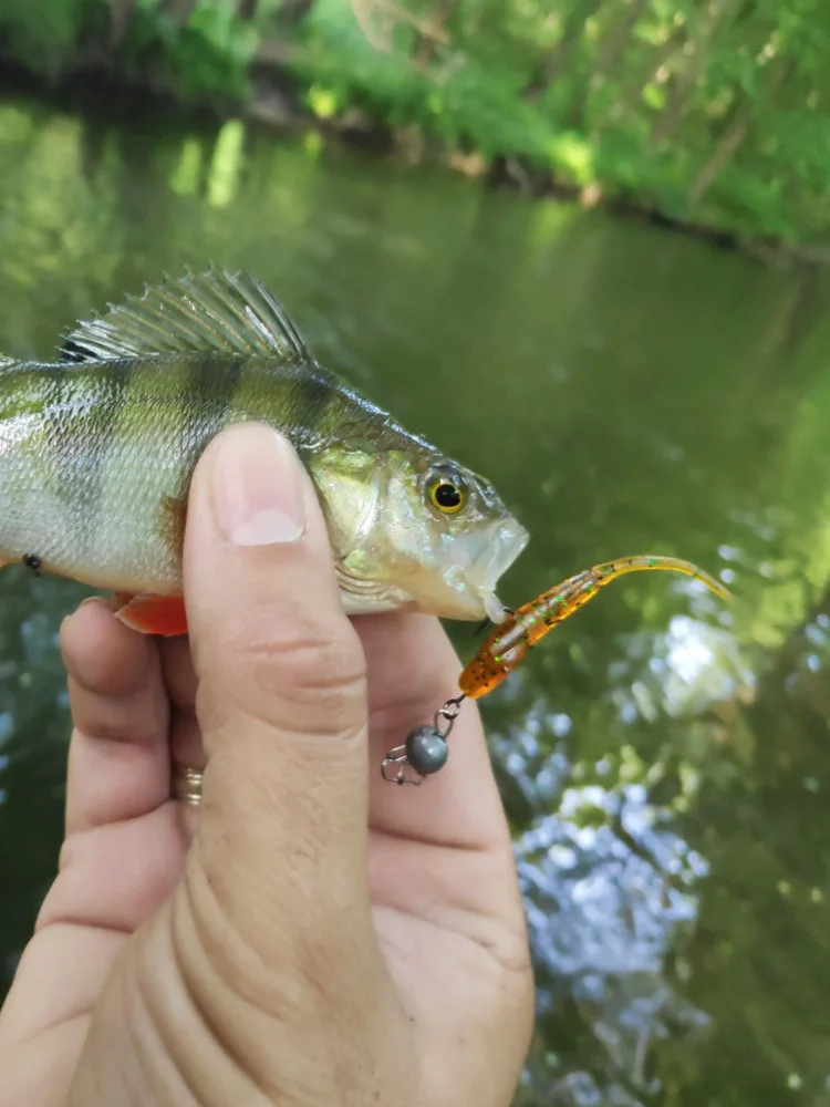 KESFISHING-cebo Artificial de Pesca, Señuelos Troutino de 52mm, señuelo de Pesca suave, Pesca en hielo, Leurre Souple, cebos de silicona añadir sal - imagen 5