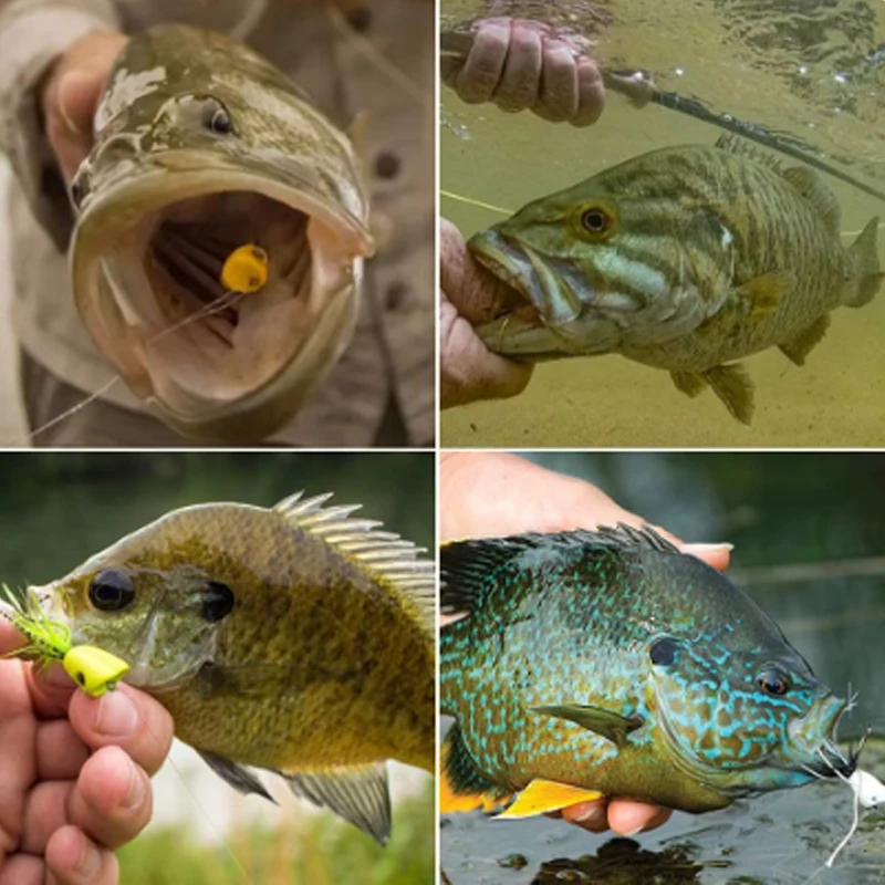 TAKEDO 5 unids/caja Topwater señuelo de pesca con mosca flotante Popper moscas secas insectos señuelo de insecto Mayfly gancho para lubina trucha pez solmón - imagen 2