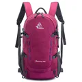 0216 40L rose-red