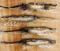 4inch 4pcs