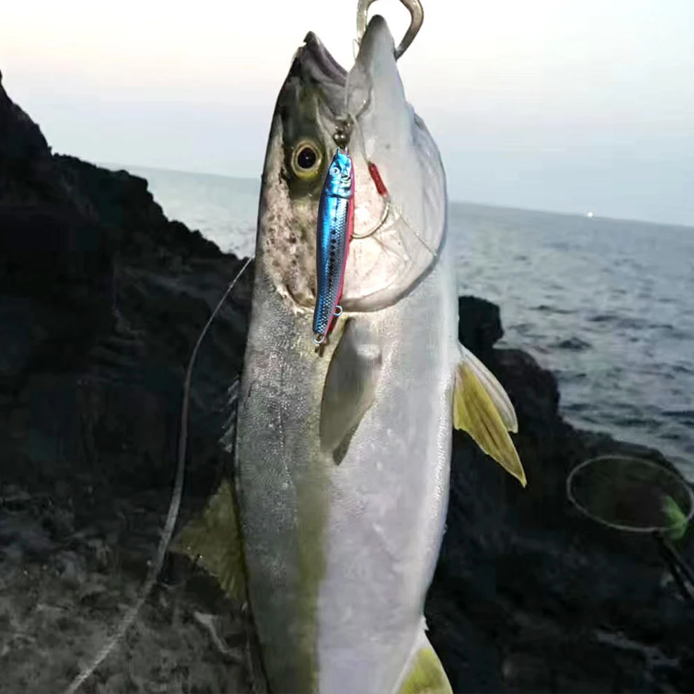 Señuelo de pesca de Metal 3D, cebo Artificial de arrastre lento para mar, atún Mahi Marlin Wahoo, 30G60G100G220G - imagen 2