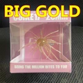 BIG GOLD 1PCS
