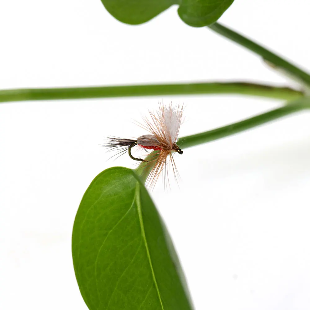 Bimoo 6PCS 14 # Barb Brown Hackle Red Humpy mosca seca mosca flotante Artificial May Fly Caddis Fly Grayling trucha Señuelos de pesca cebo - imagen 5
