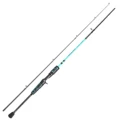 Casting Rod
