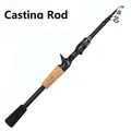 Casting Rod