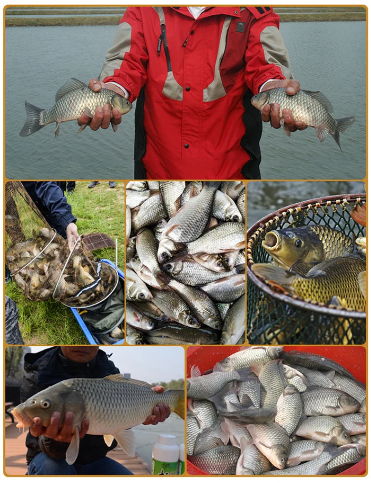 Cebo integrado de 1200g = 4 bolsas para peces salvajes, carpas en polvo, cebos de pesca rápidos, accesorios de olor, artículos atrayentes - imagen 3