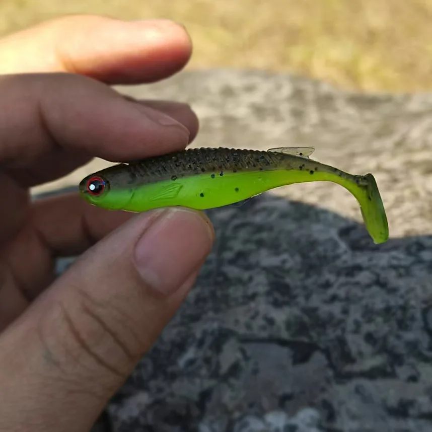 MUKUN Señuelo T cola 6,5cm – Vinilo para lubina - imagen 3