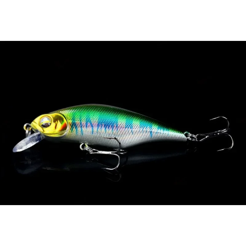 Señuelos de pececillos de placa longtongue, cebos láser flotantes, simulando el campo de gestión de pesca de peces, nuevo - imagen 5