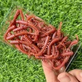 GD38 50PCS 06