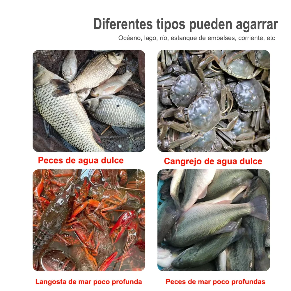 Red de pesca portátil de 3 capas FISH KING, jaula de malla para camarones y peces, red de trampa para pesca, accesorios de pesca plegables de 61x32cm - imagen 2