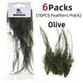 6packs olive