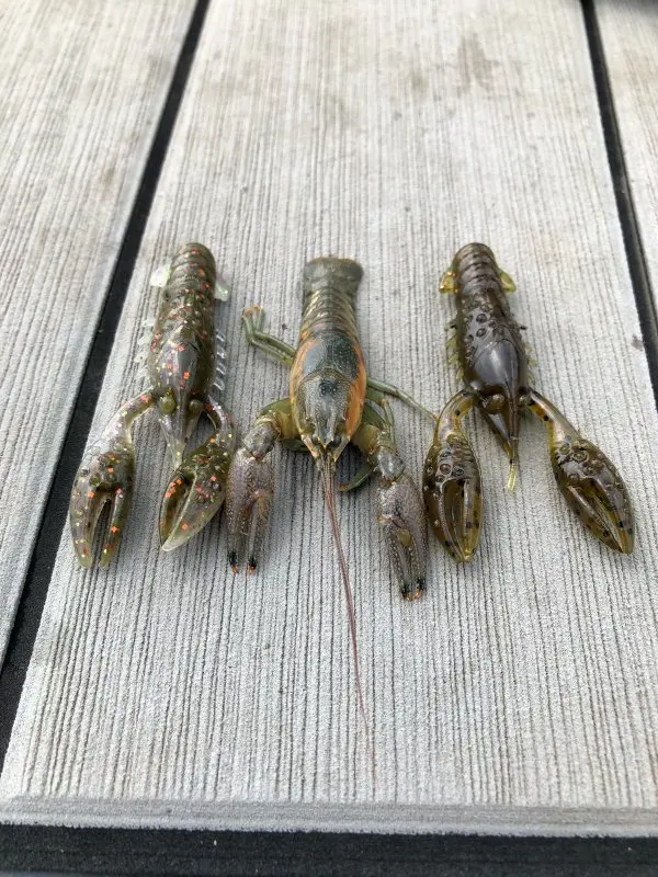 Zman-pez de río de agua flotante, grupo de pesca Nedd fino, señuelo de Pit negro, cebo subsuave, cebo falso - imagen 3