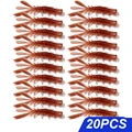 20pcs D