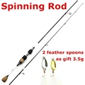 spinning rod