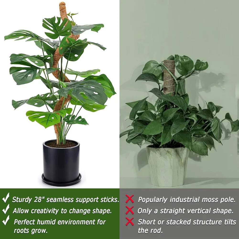 Poste de musgo de Coco flexible, jaula para plantas, poste trepador, extensión de soporte para plantas Monstera, cultivo hacia arriba, jardín - imagen 5