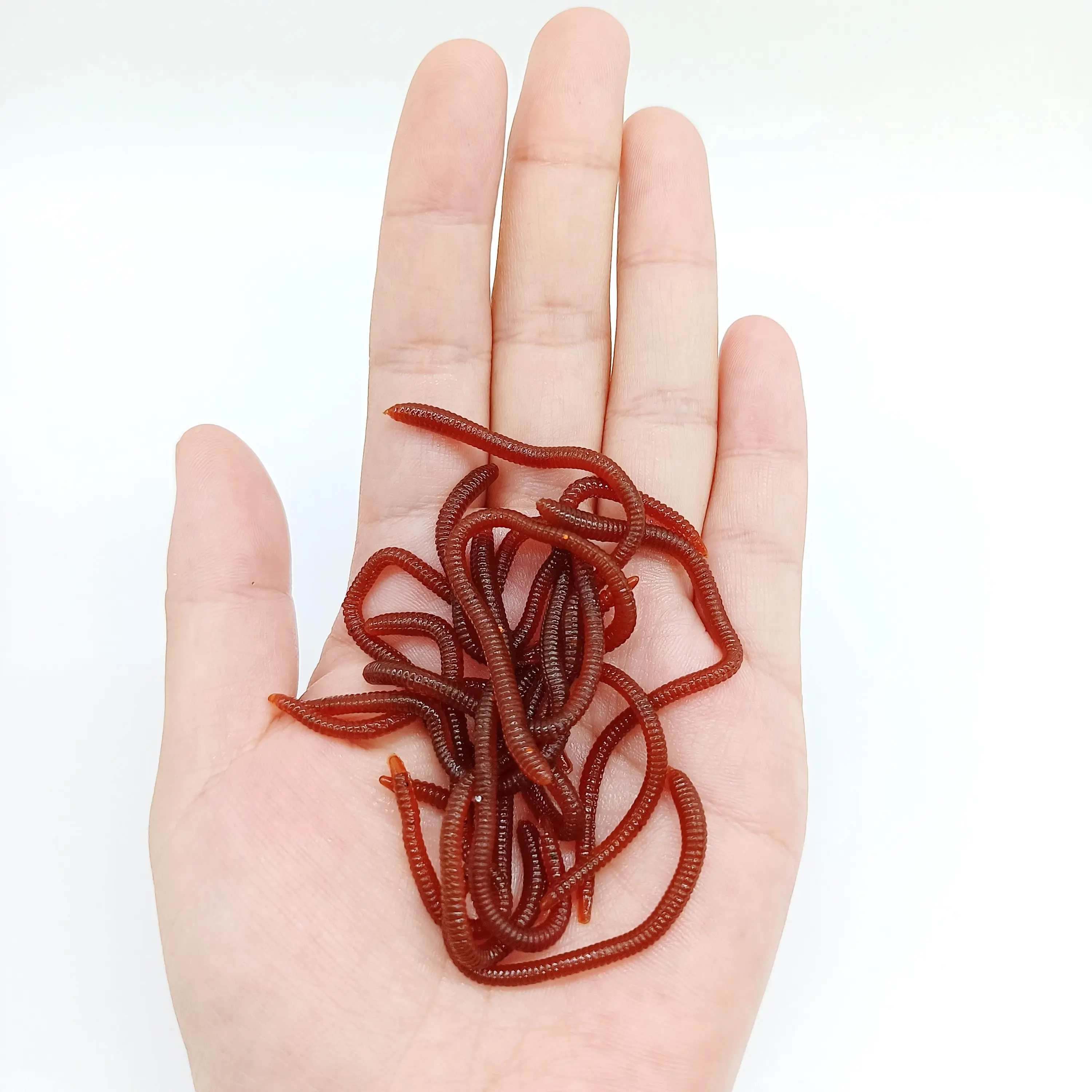 DUODUOYU-10 piezas de simulación de gusano de tierra, gusanos de pesca artificiales, señuelos con olor a pescado, cebo blando de 8cm/0,4g, aparejos de pesca - imagen 2