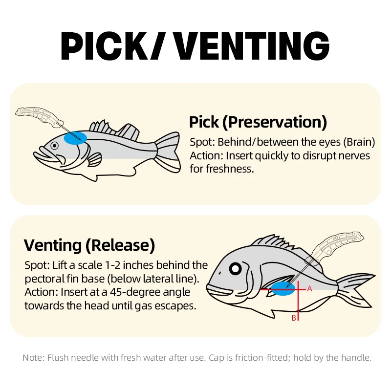 LETOYO-Herramienta de selección de ventilación, aguja hueca de acero inoxidable de 5,7 pulgadas, herramientas de pesca para barco de pesca en el mar, accesorios de pesca - imagen 4