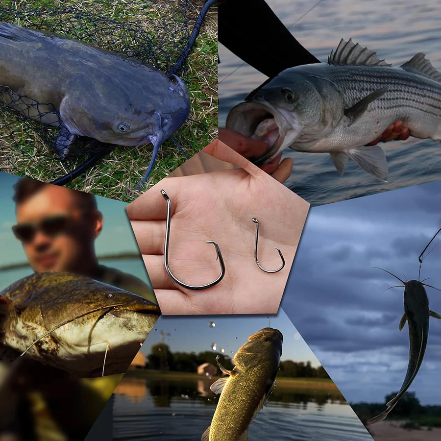 Anzuelos circulares de pulpo para agua salada, 50 Uds., anzuelo de pesca para bagre, 2/0-10/0, anzuelos compensados para aparejos - imagen 5