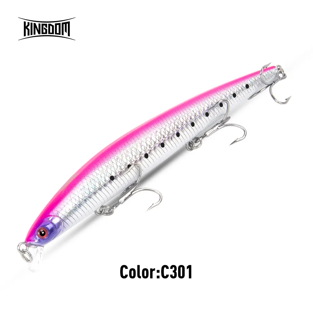 5333-19g-C301