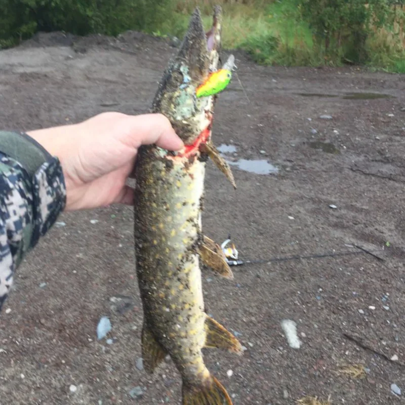 Mini Crankbaits de pesca que se hunden, Wobblers para Lucio, Trolling, sonajero, aparejos de pesca, señuelo duro Artificial, 4,5 cm, 4g, 1 ud. - imagen 5