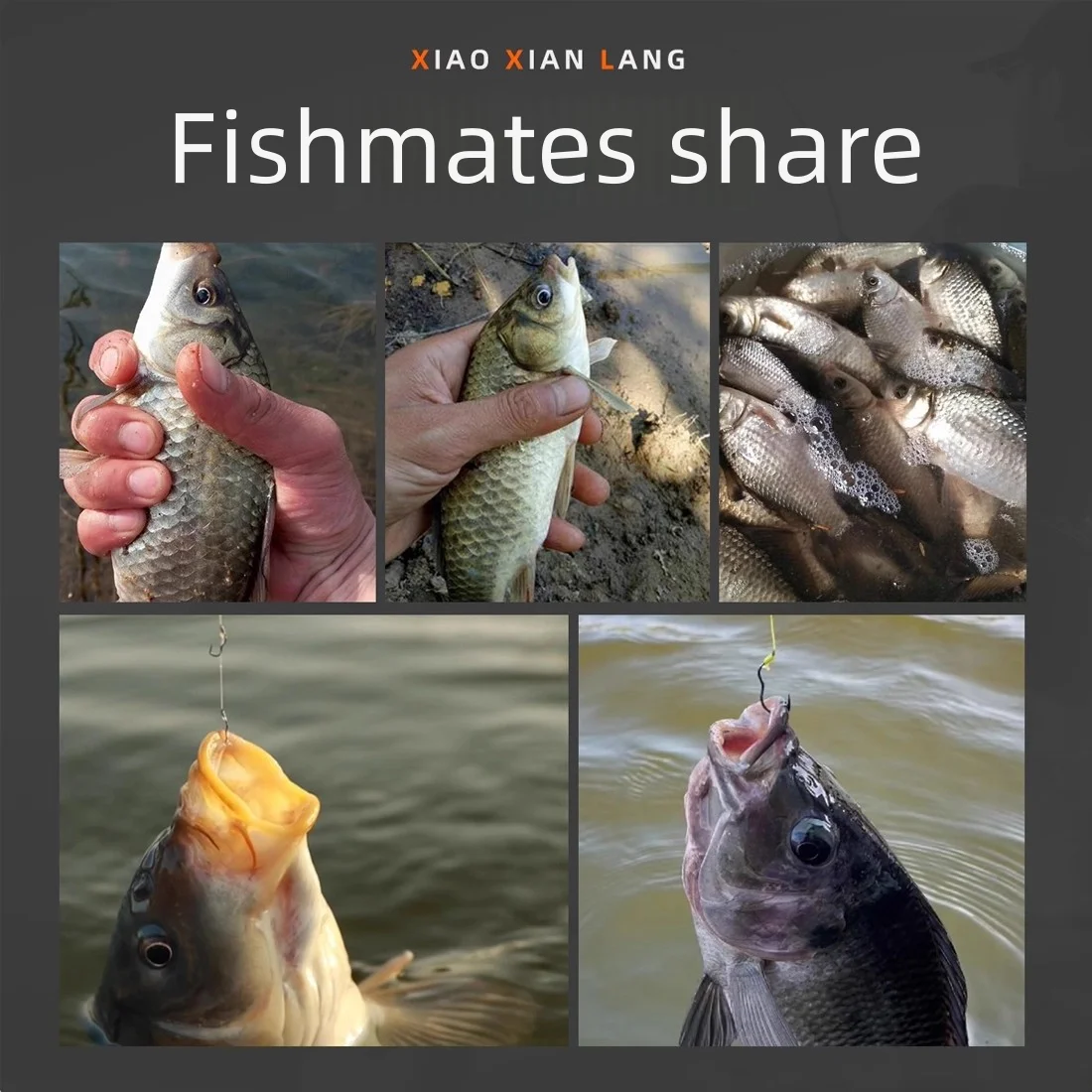 9KM 50 Uds anzuelo de carpa anzuelo de pesca con tapa automática de acero rico en carbono con púas afiladas con ojo - imagen 2