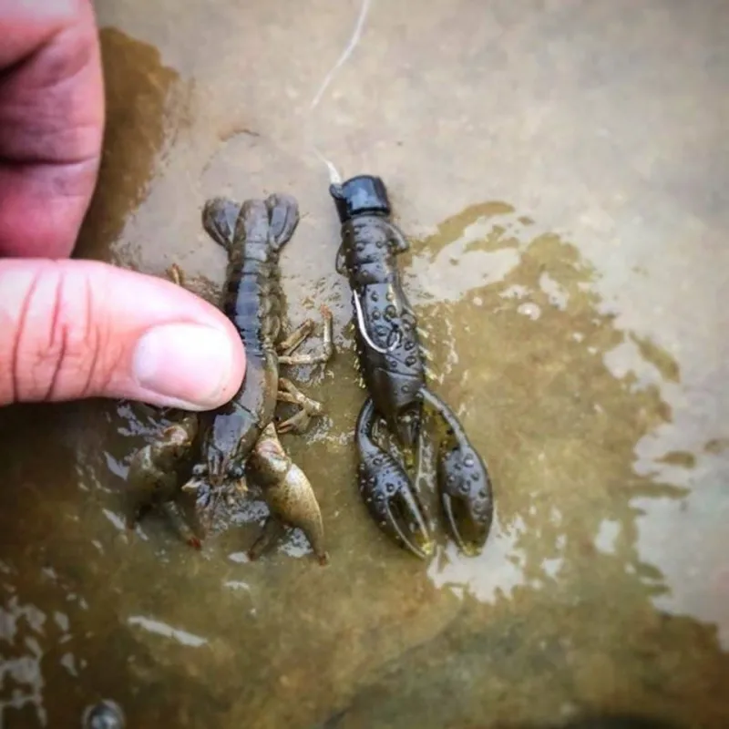 Zman-pez de río de agua flotante, grupo de pesca Nedd fino, señuelo de Pit negro, cebo subsuave, cebo falso - imagen 4