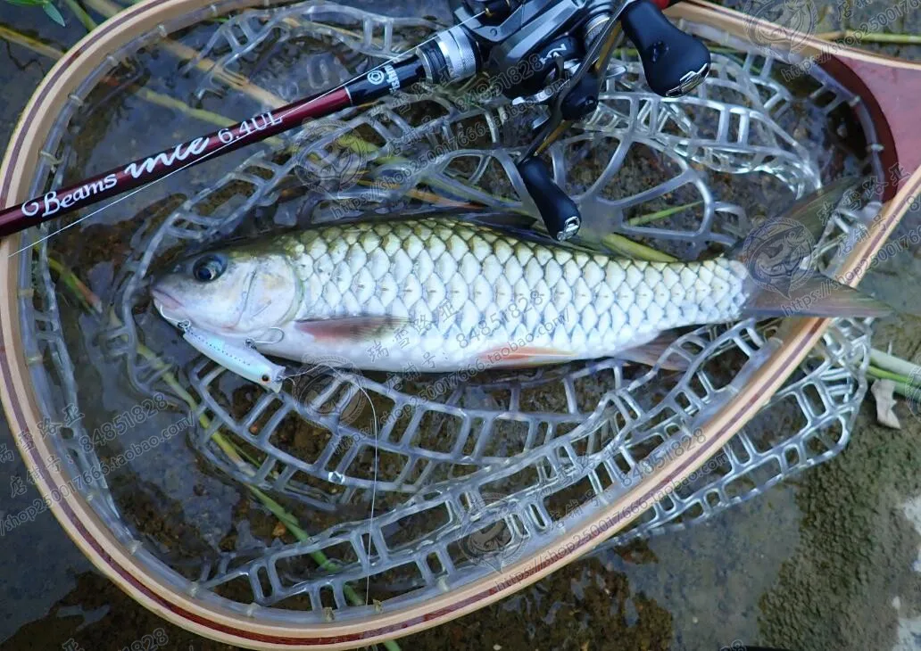 Un pez está atrapado en una red