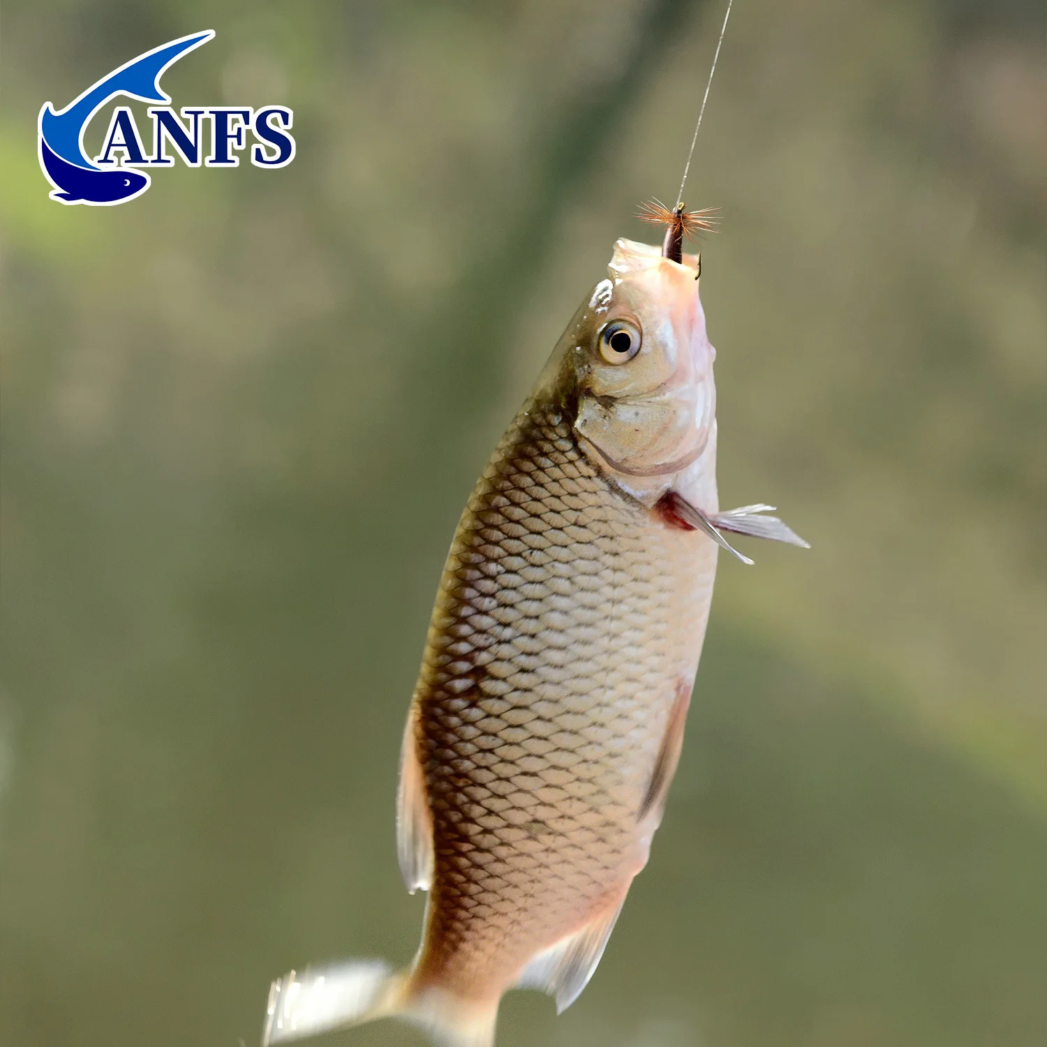 ANFS Beetle Fly – Señuelo de espuma para pesca con mosca - imagen 4