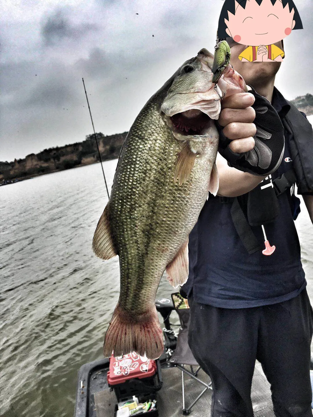 Ji's new G.C.Zari vib 57/67 capa de natación completa, perca de tiro largo, pez negro, lucio y pez temblor. - imagen 3