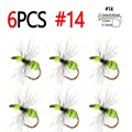6pcs Size 14