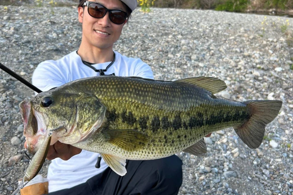 Nuevo producto OSP japonés ASURA Asura 89EX-DR versión de lengua larga Minolua flotante lento 4 metros cebo de búsqueda de alta presión - imagen 2